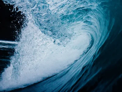Navigating the Wave