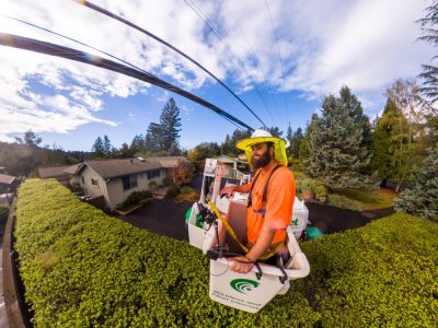 Surfnet’s 2025 Year in Review